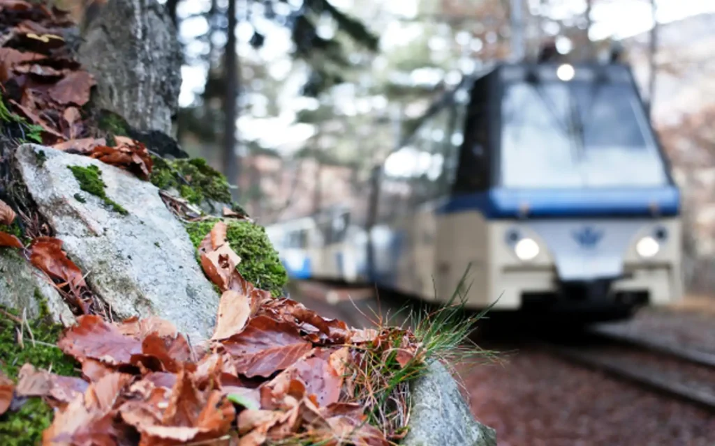 Tren del Follaje en otoño entre bosques rojos y dorados en la Ferrovia Vigezzina-Centovalli