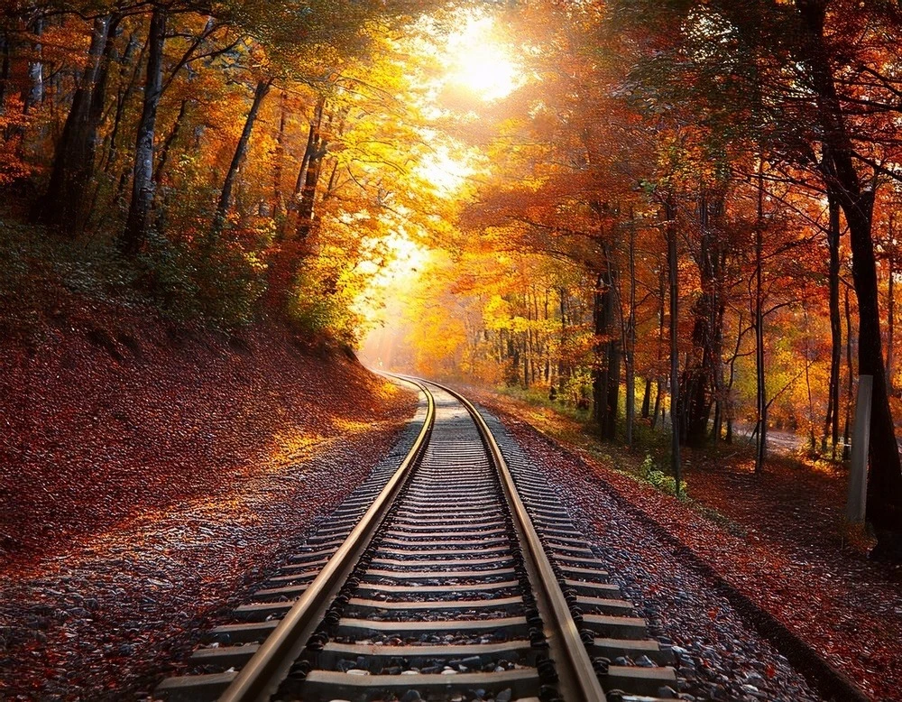 otoño- tren del Follaje-2025