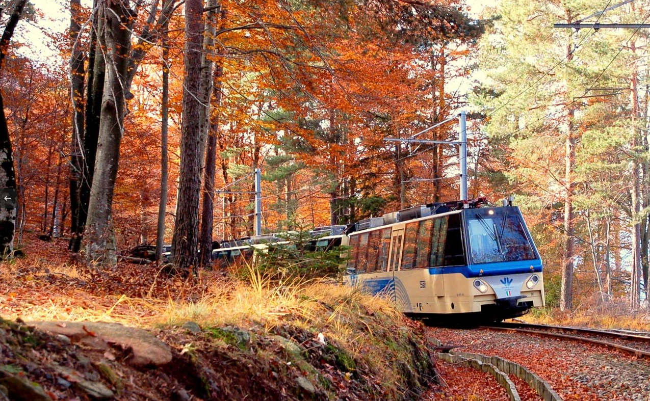 ruta del Tren del Follaje